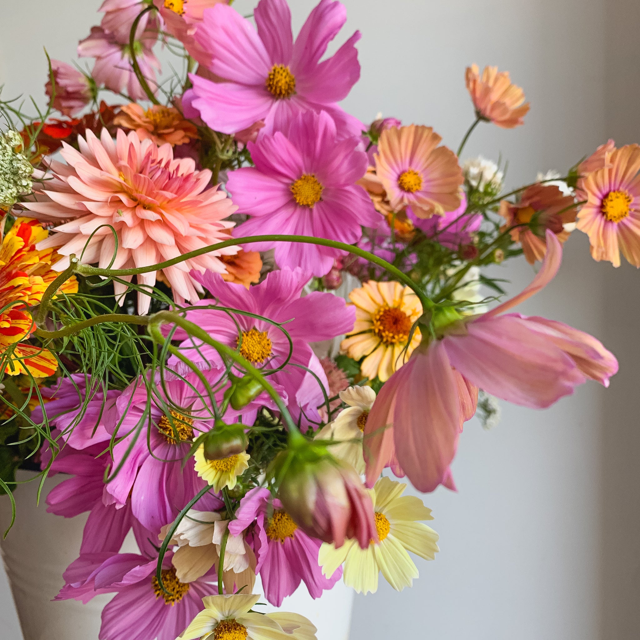 Bucket of Blooms